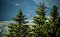 3_st_johann_1011.jpg