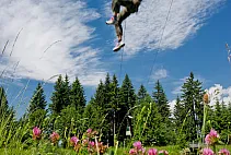 hornpark2.jpg